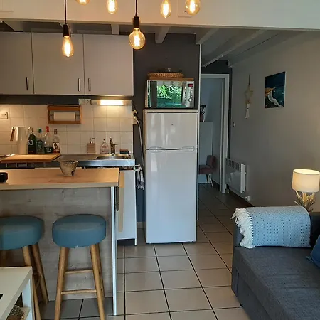 아파트 Charmante Patio Avec Terrasse : Proche Plages Et Centre, Ideale Pour 4 Personnes - Fr-1-239-789